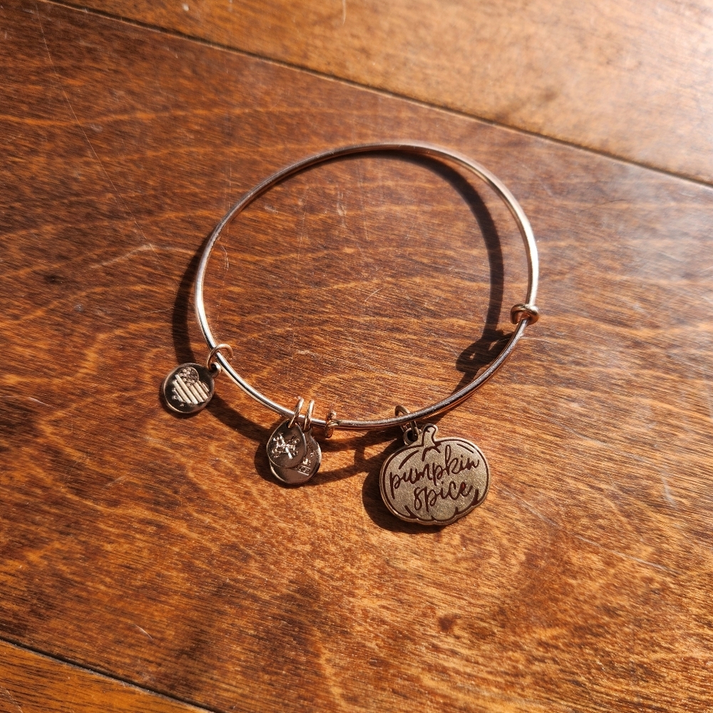 Alex And Ani Pumpkmin Spice